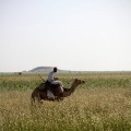 Soedan